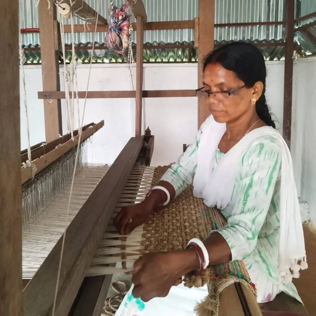 Handloom and Carpet Loom